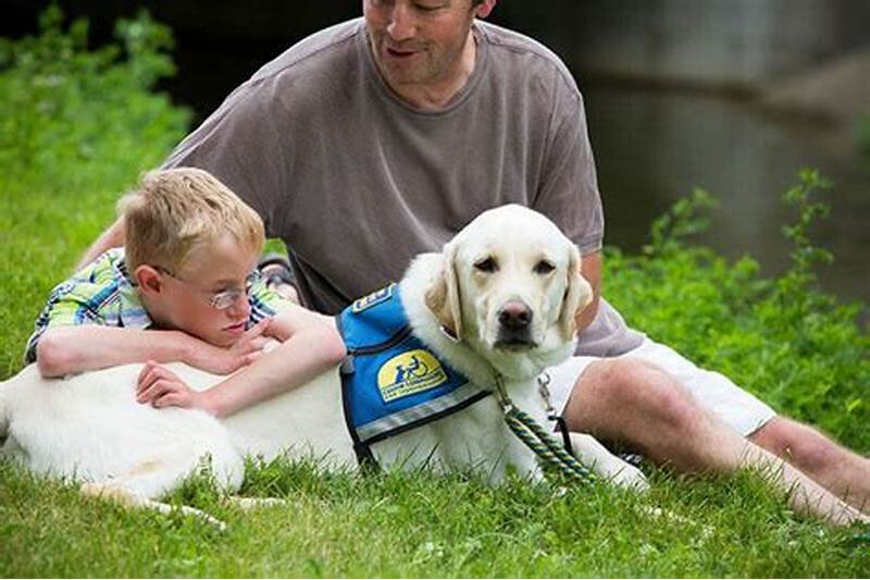 How Therapy Dogs Help Children 