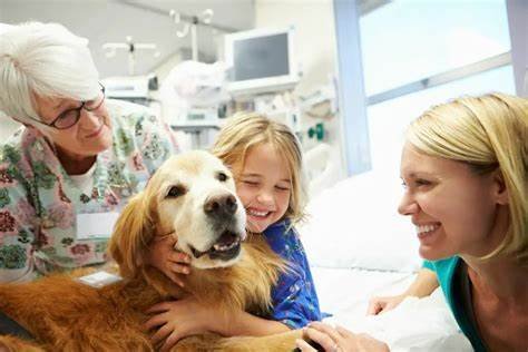 Therapy Dogs in Mental Health Treatment