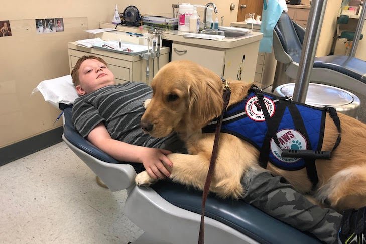 How Therapy Dogs Help Children