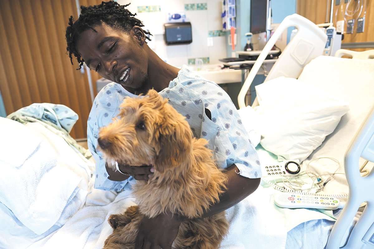 How Therapy Dogs Help in Hospitals