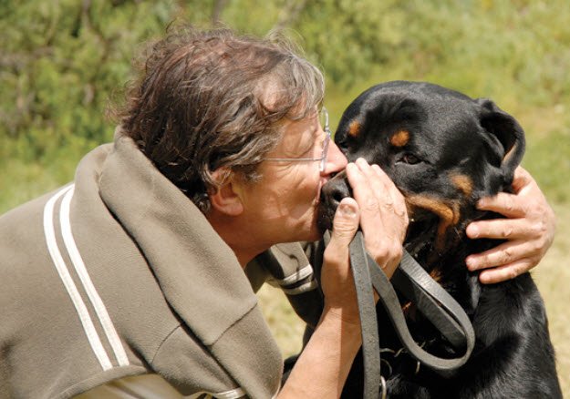 Rottweilers and Aging: How to Care for Your Senior Dog