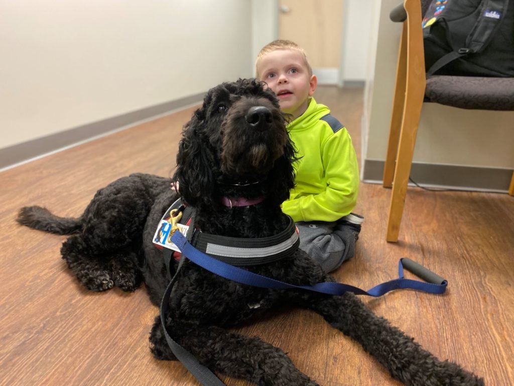 Therapy Dogs for Children with Autism