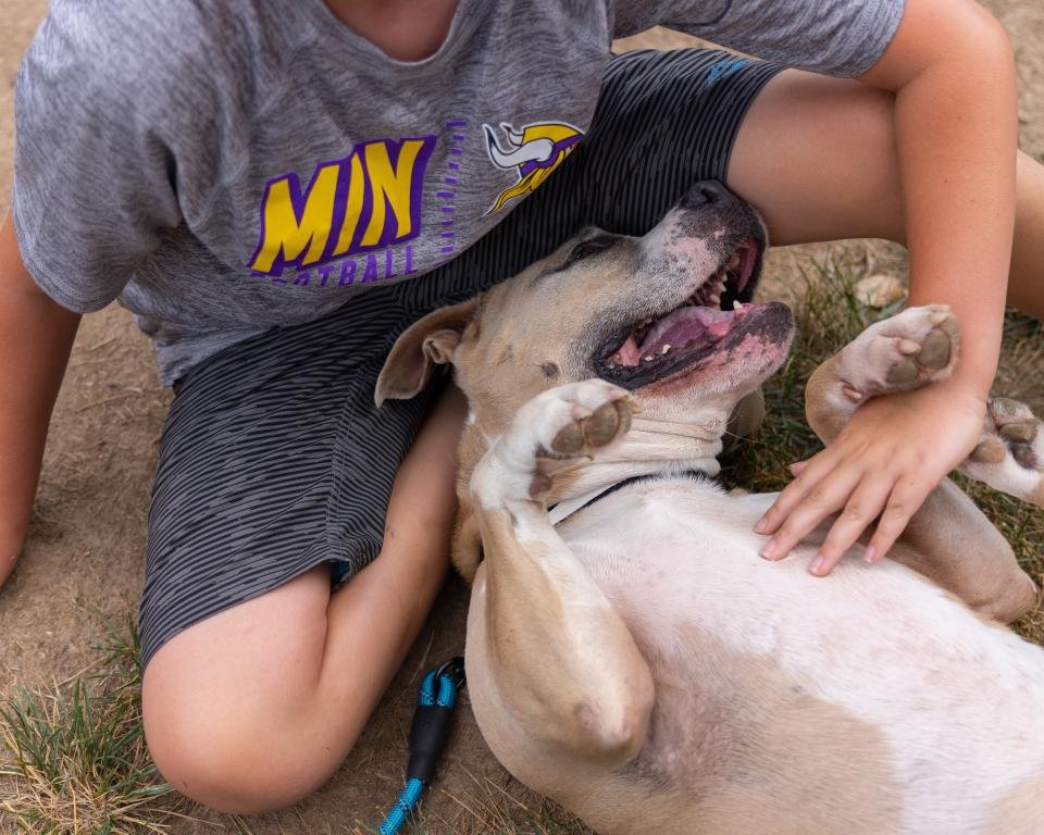 How to Train Your Dog to Be a Therapy Dog