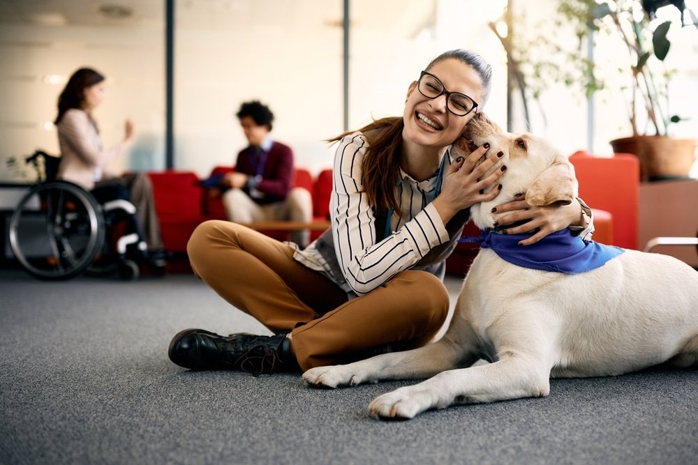 Top Stories of Therapy Dogs Making