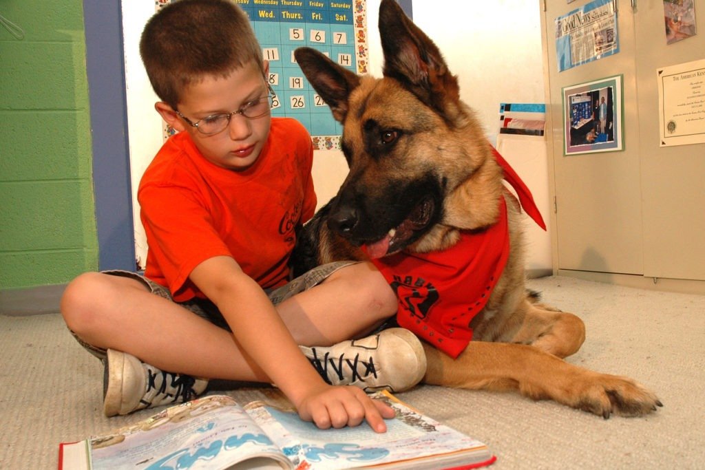 Therapy Dogs for Children with Autism