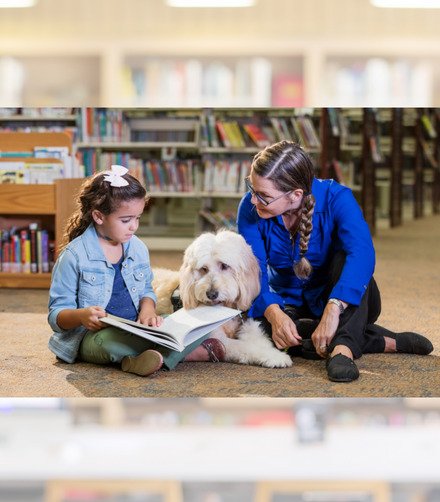 Therapy Dogs in Schools and Workplaces