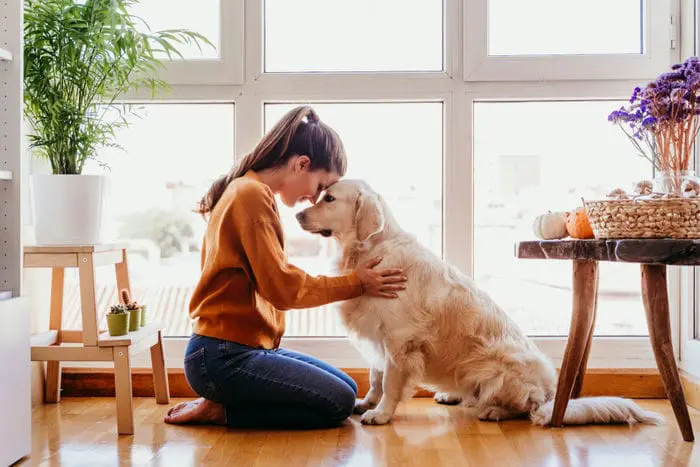 The Role of Therapy Dogs in Mental Health